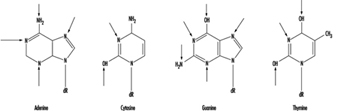 TOX090F3