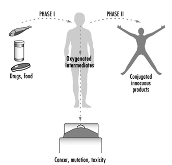 tox050f4